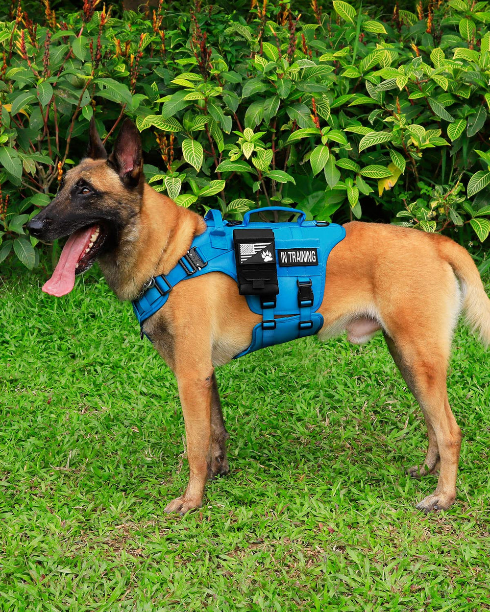 Arnés PETNANNY con accesorios MOLLE para equipo y herramientas.
