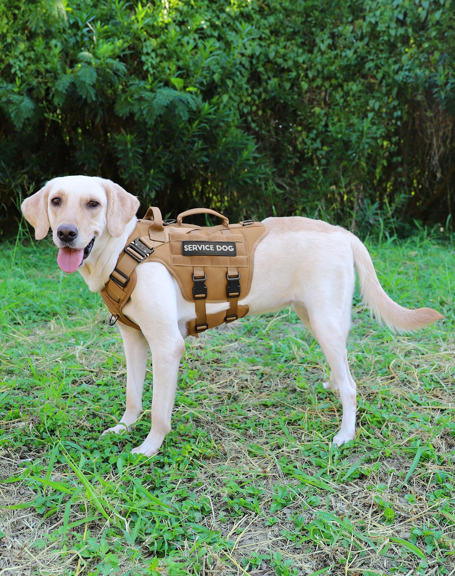 Manijas dobles de PETNANNY para asistencia y control durante paseos