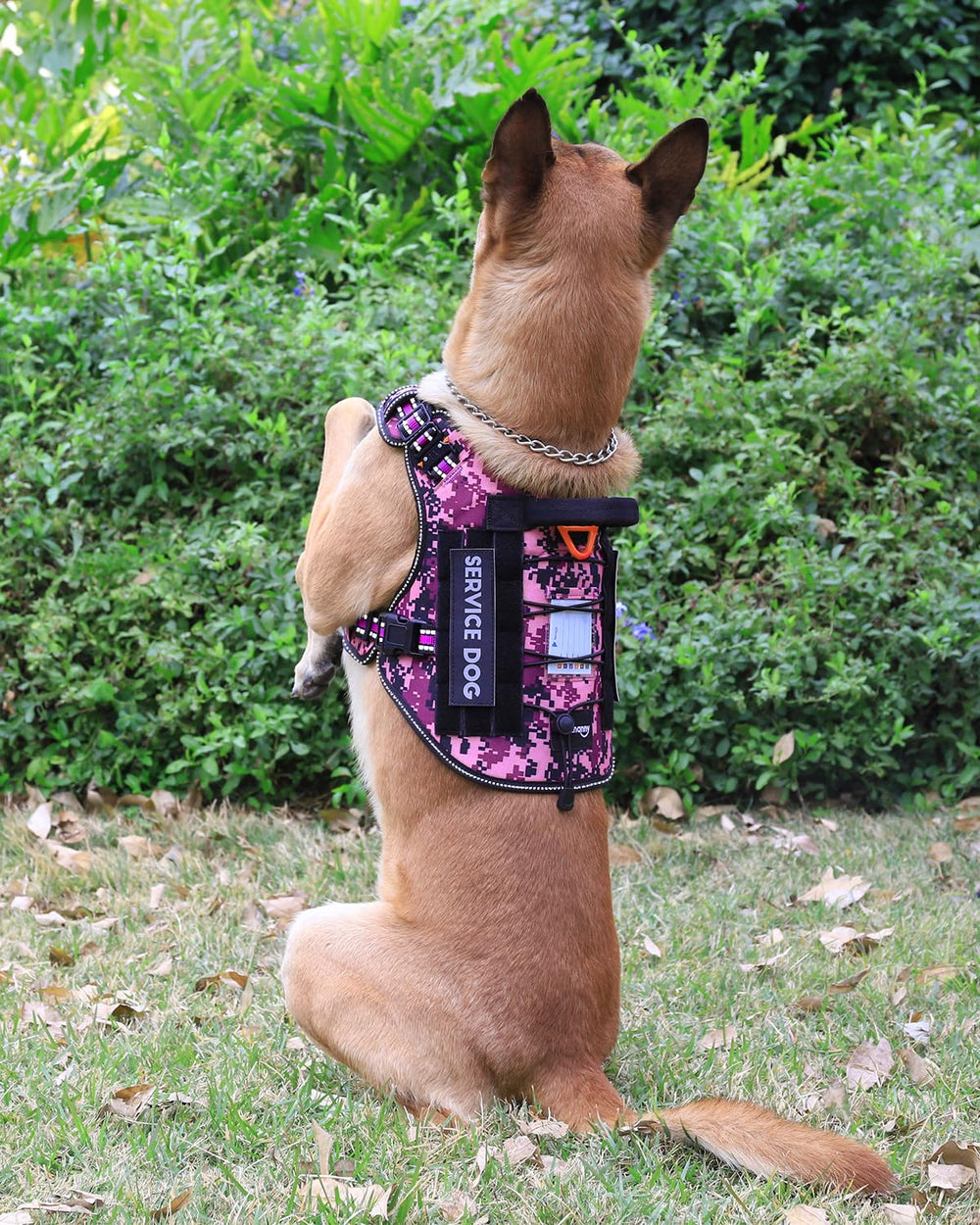 PETNANNY arnés talla XL morado camuflaje, ideal para perros grandes.