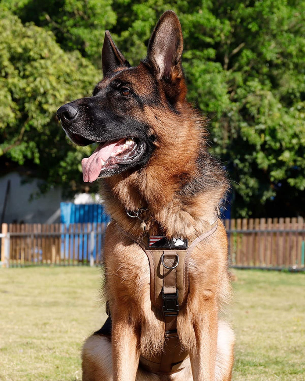 PETNANNY asa de ayuda para colocar al perro sin esfuerzo.