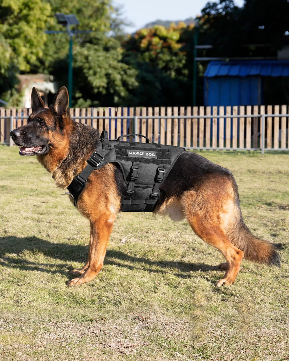 Asa doble PETNANNY para asistencia y maniobras fáciles