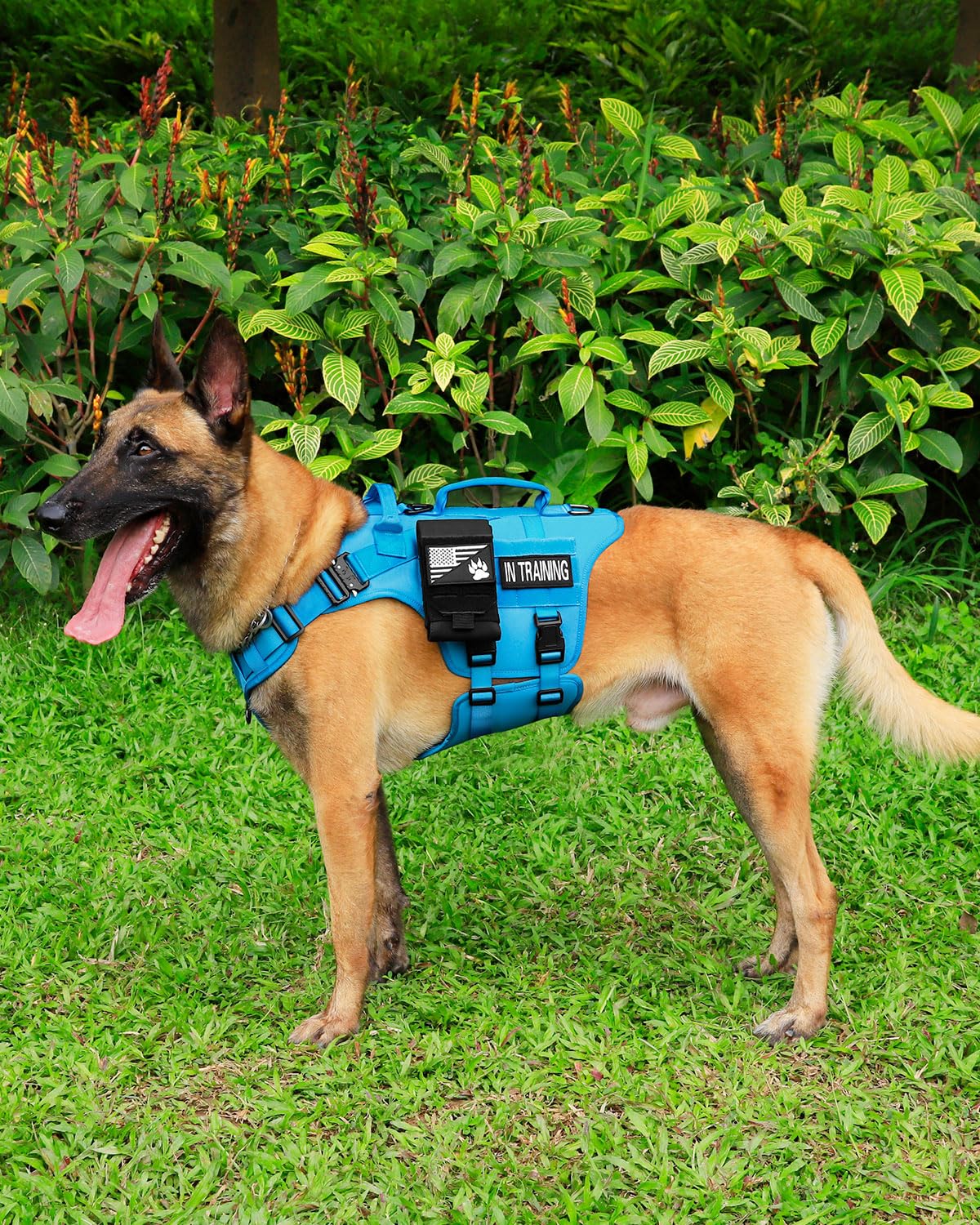 PETNANNY doble asa para asistencia durante entrenamientos y paseos.