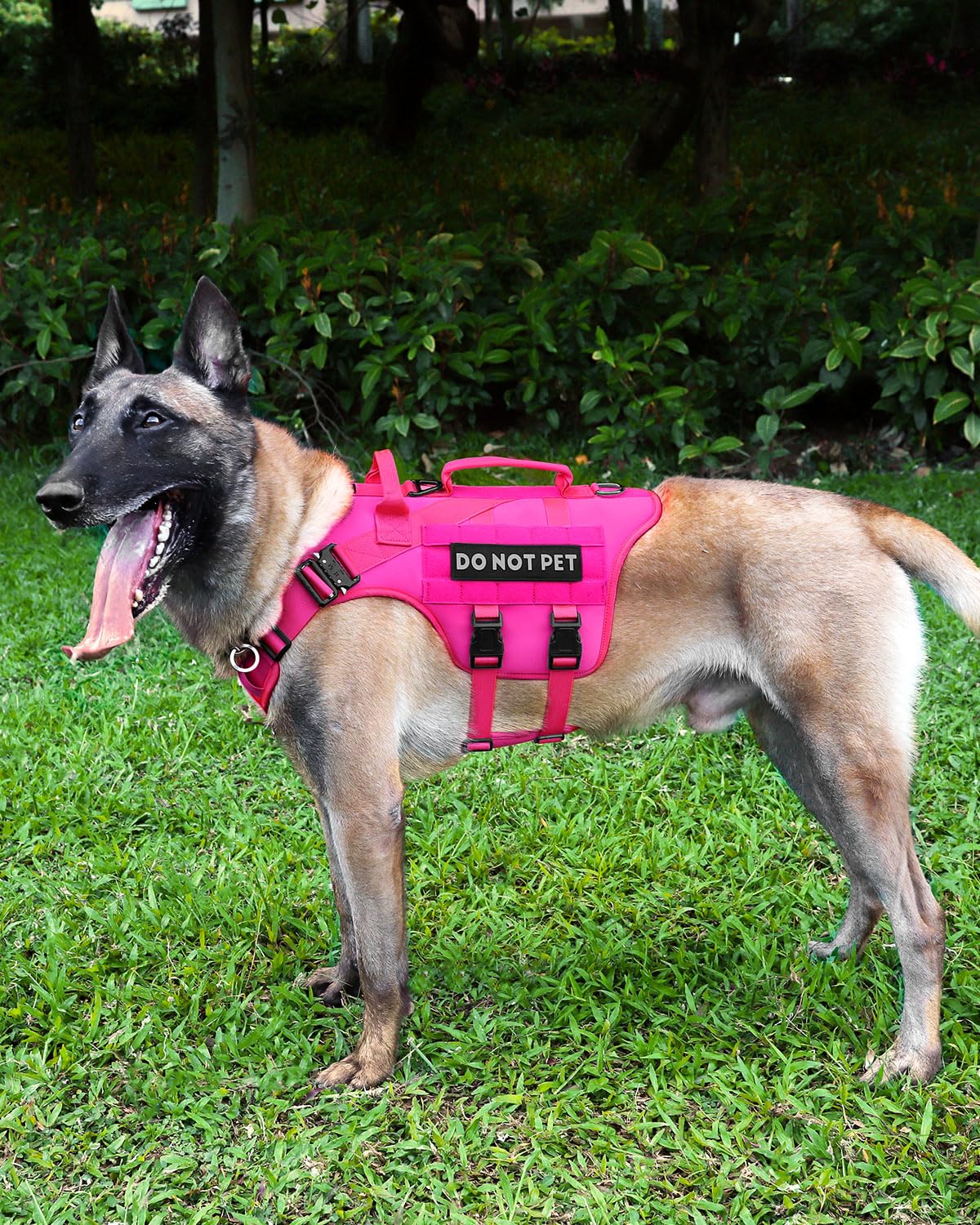 PETNANNY arnés rosa, visibilidad alta para uso diario.