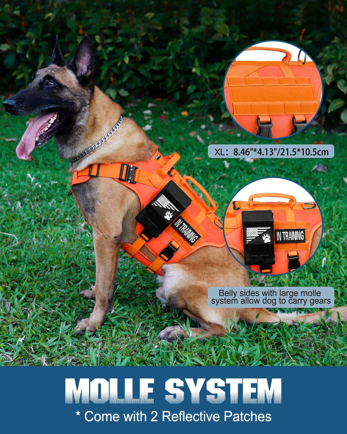 Panel MOLLE del arnés PETNANNY para bolsos y parches personalizables.