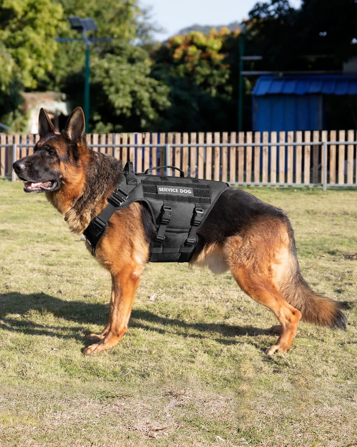 PETNANNY manijas dobles para asistencia y soporte.