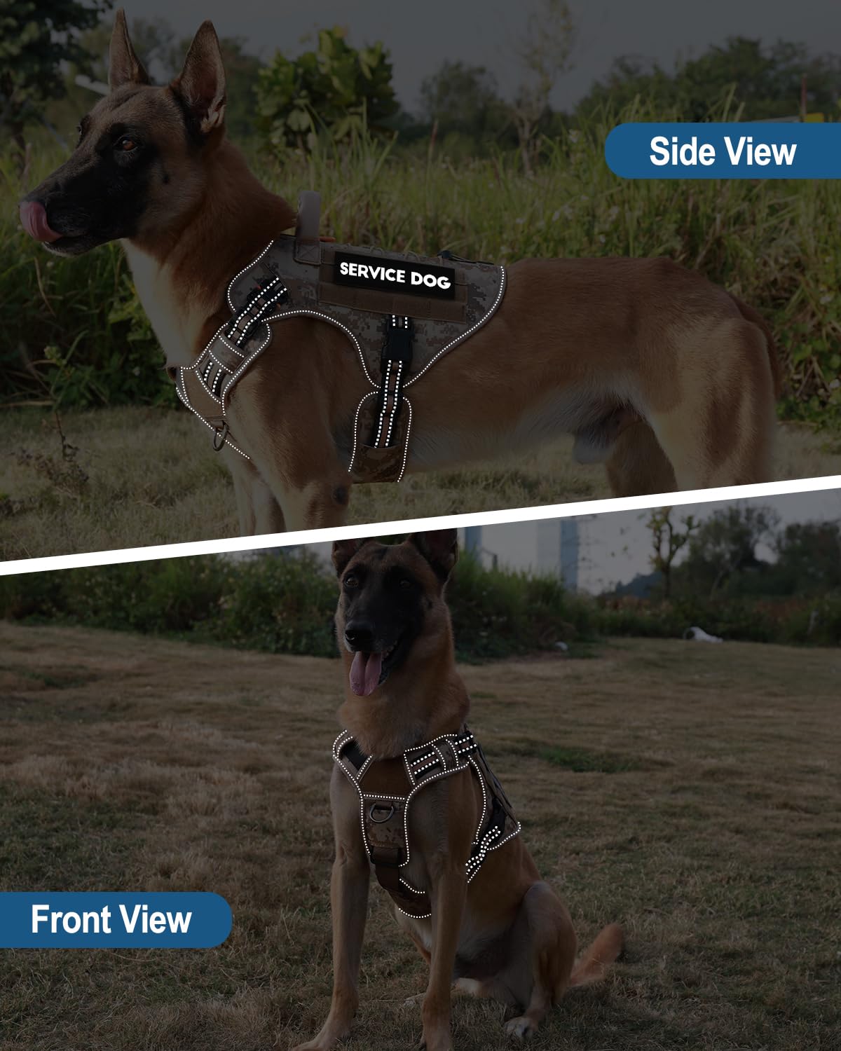PetNanny parches reflectivas para mayor visibilidad en entornos oscuros