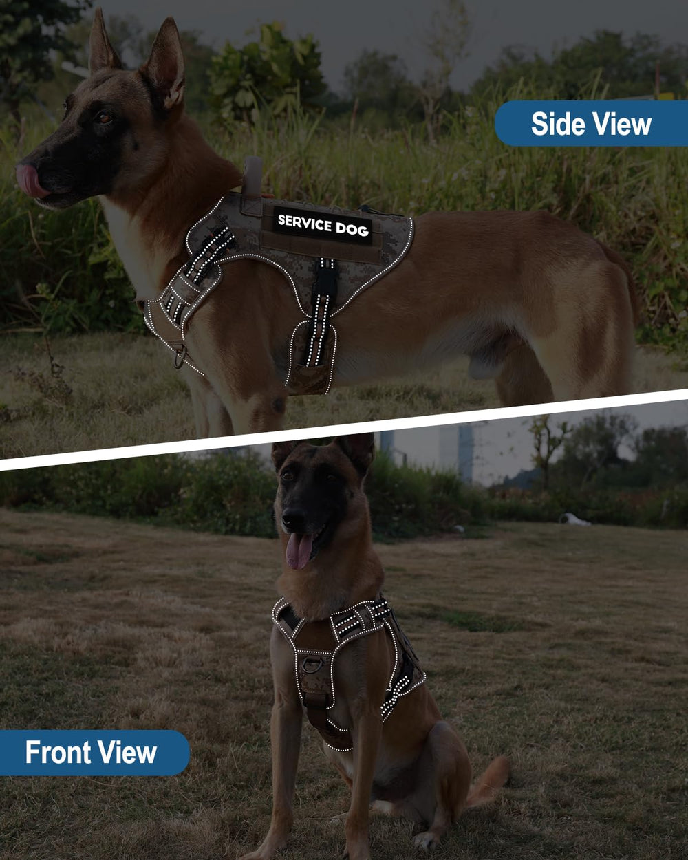 PetNanny parches reflectivas para mayor visibilidad en entornos oscuros