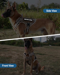 PetNanny parches reflectivas para mayor visibilidad en entornos oscuros