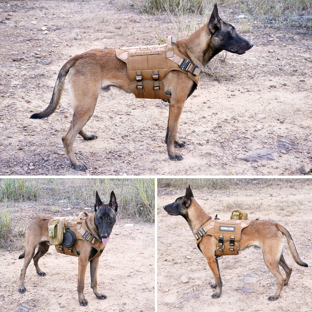 PETNANNY vest con acolchado ligero para entrenamiento y paseos diarios