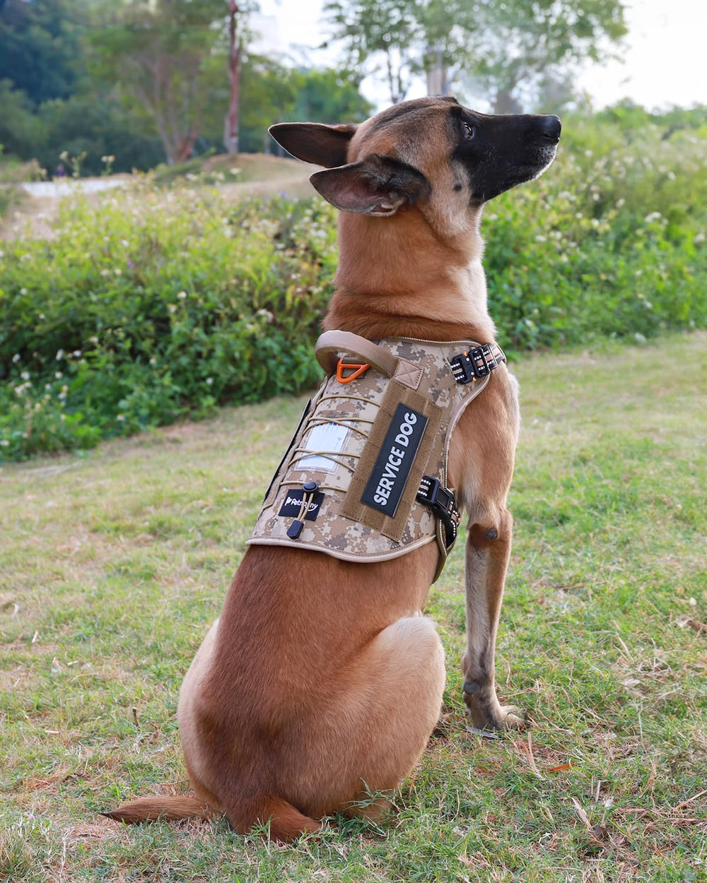 PetNanny talla XL para perros medianos y grandes con ajuste seguro
