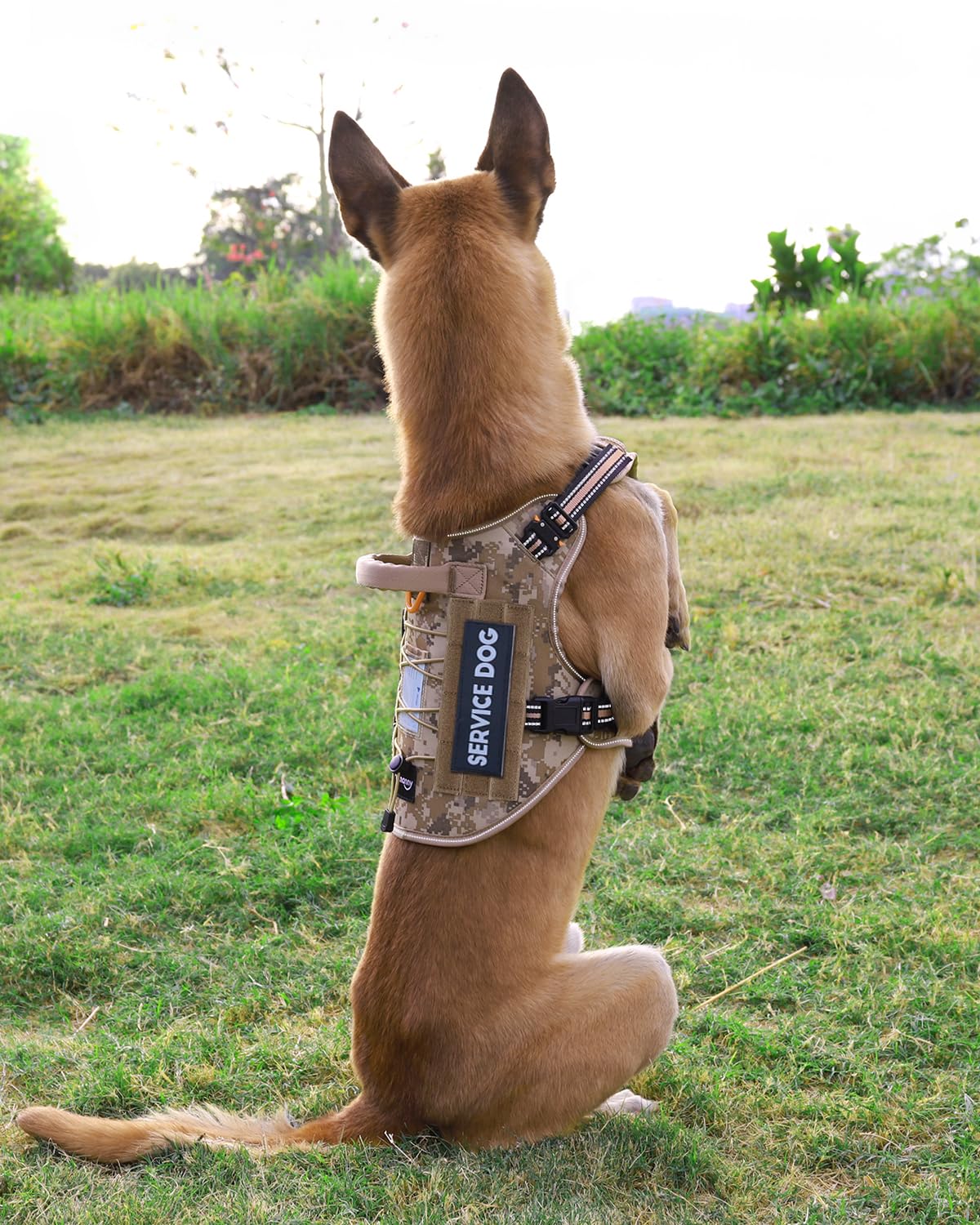 PetNanny uso para entrenamiento y caza con manejo seguro y cómodo