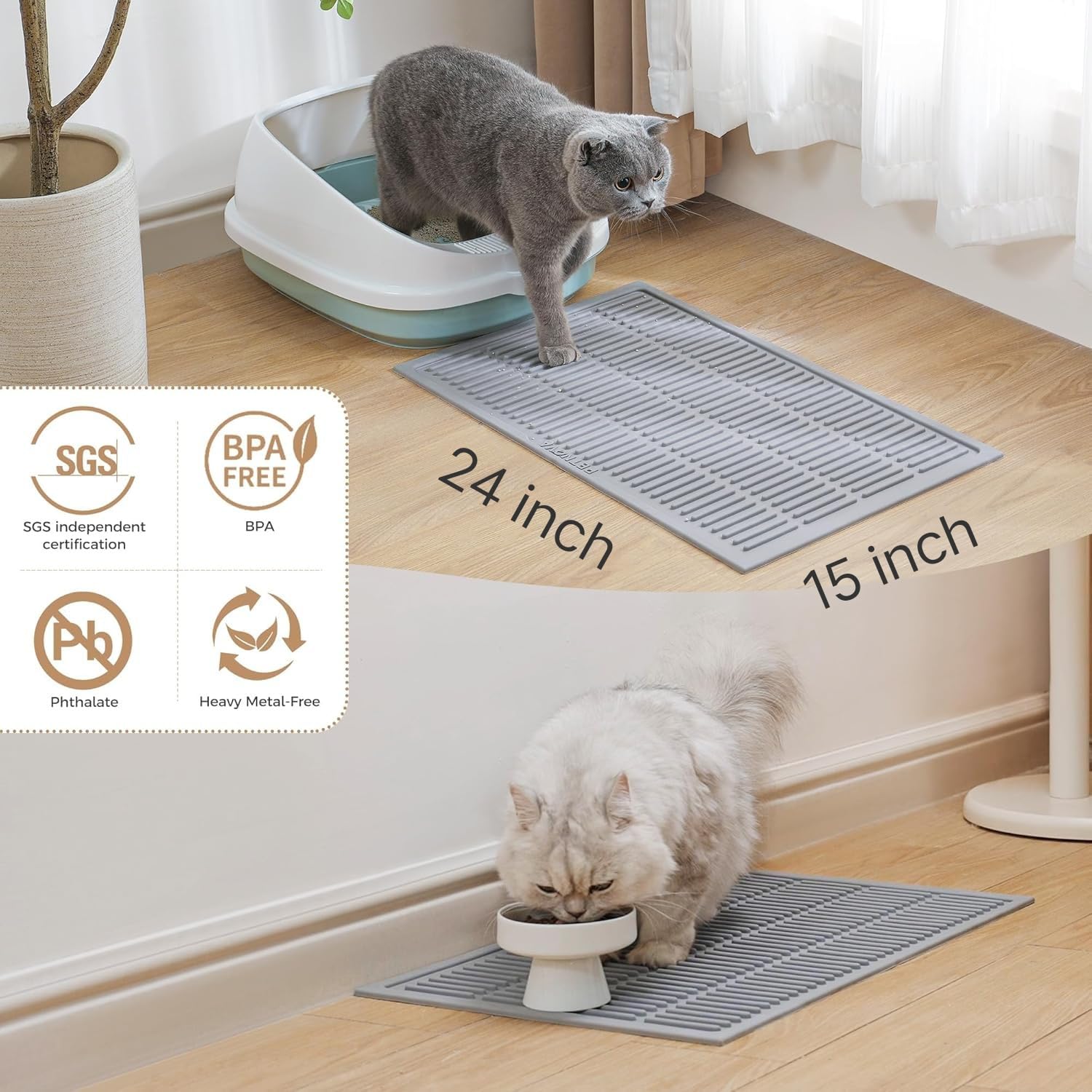 PetNova: solución diaria para reducir mantenimiento del área de la caja