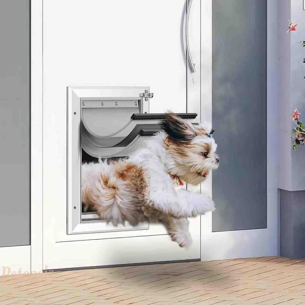 Petoasis demostración de instalación y uso con tu mascota.