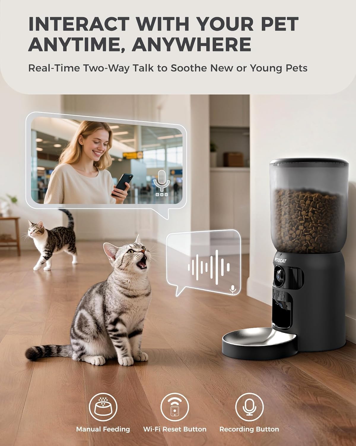 PETOCAT alimentador automático, láser interactivo para juego remoto