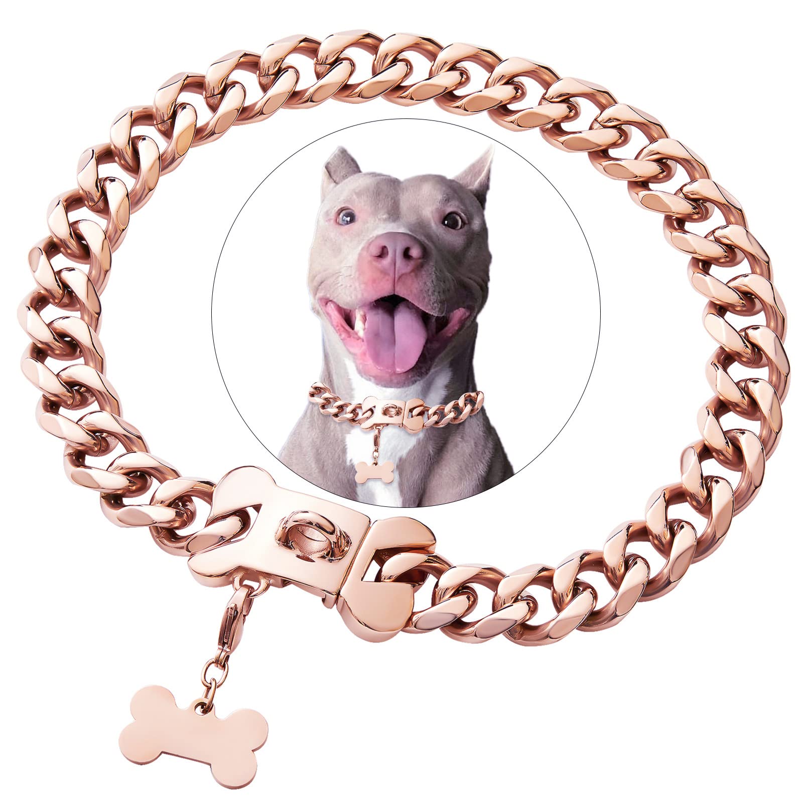 Petoo collar cubano rosado-oro de acero inoxidable, listo para uso diario.