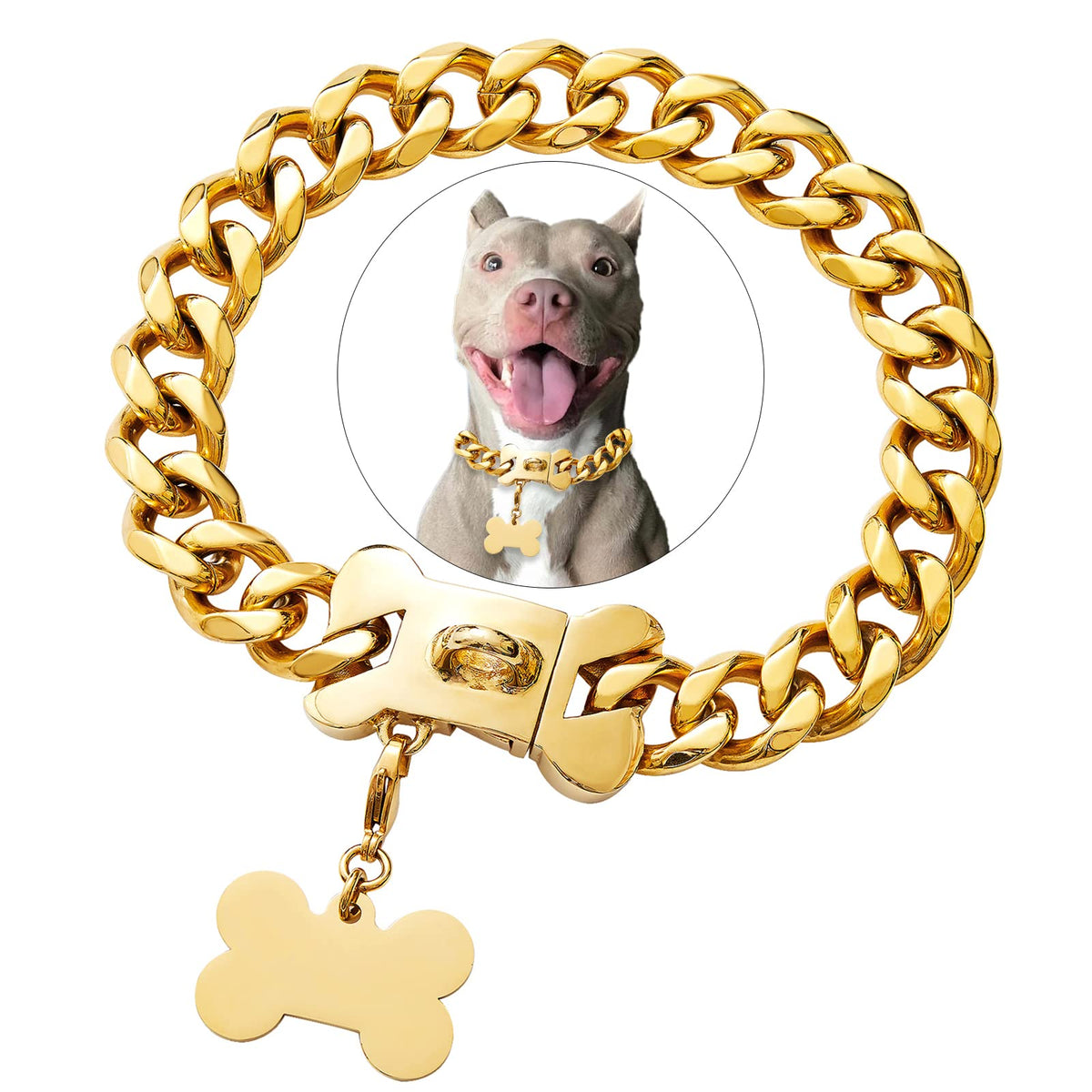 Petoo collar cubano dorado para perro, estilo audaz y duradero para paseos.
