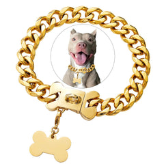 Petoo collar cubano dorado para perro, estilo audaz y duradero para paseos.