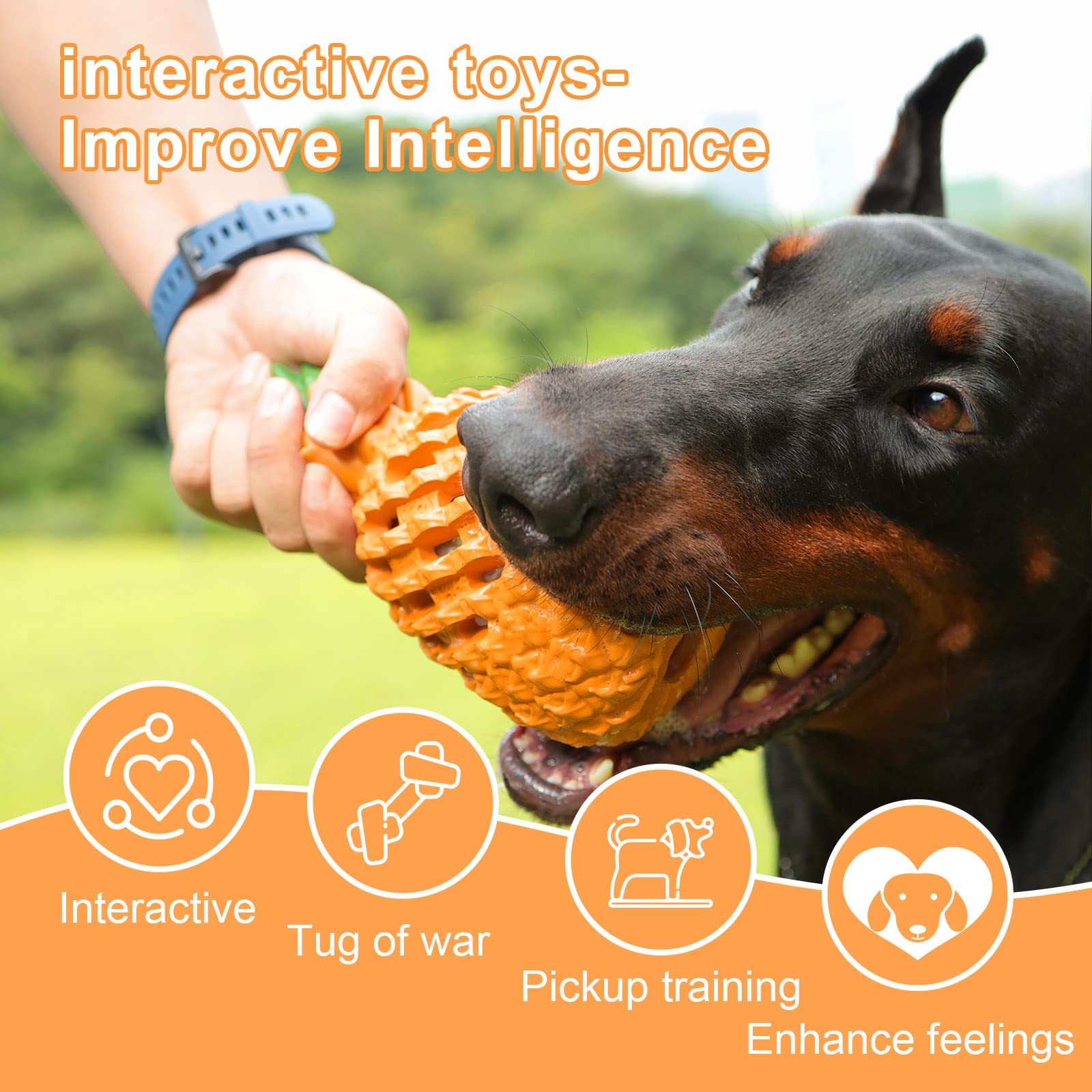 Petopia Piña diseño atractivo, ideal para despertar interés en perros curiosos.