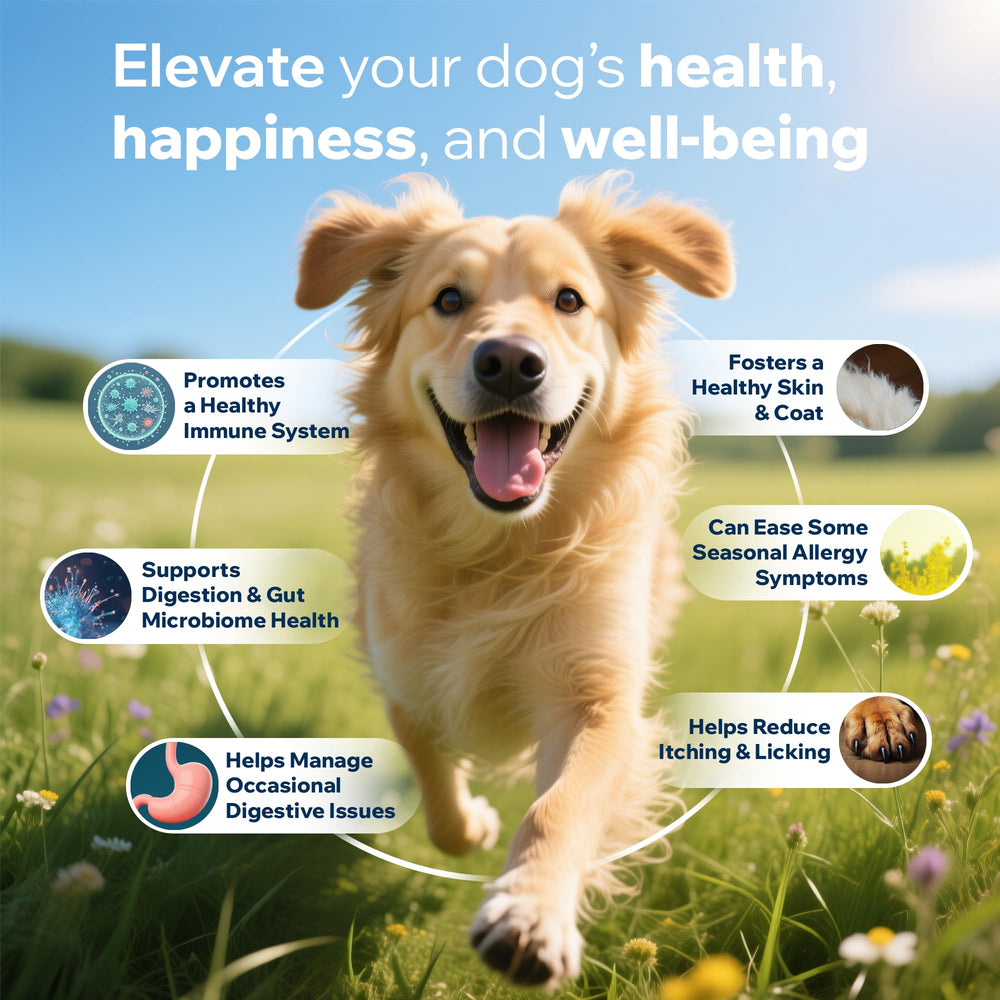 PetOptimum Probiotics para perros: bocaditos suaves que cuidan dientes y encías.