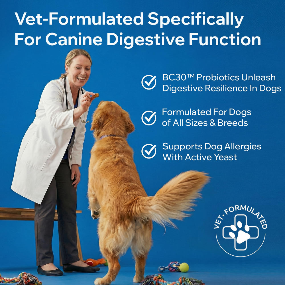 PetOptimum Probiotics para perros: enzimas digestivas que ayudan a la absorción.