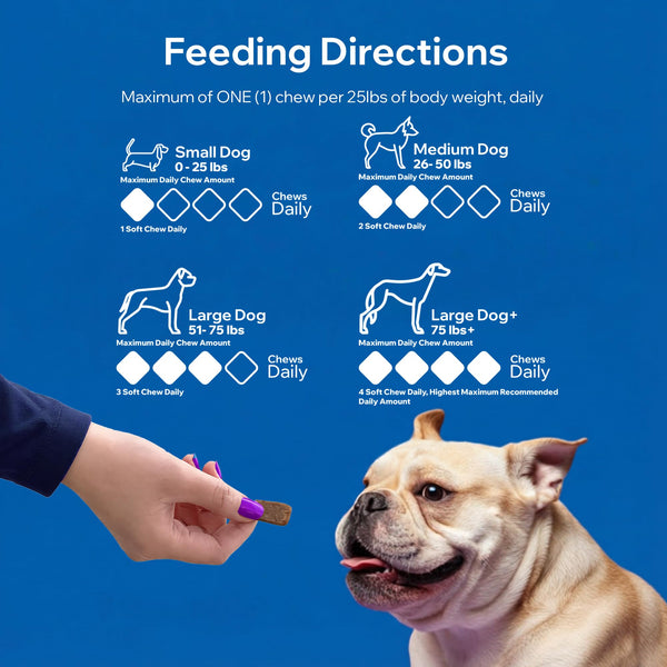 PetOptimum Probiotics para perros: hecho en EE. UU. en instalaciones certificadas.