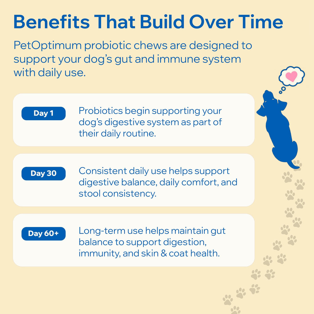 PetOptimum Probiotics para perros: prebioticos FOS para equilibrio intestinal.
