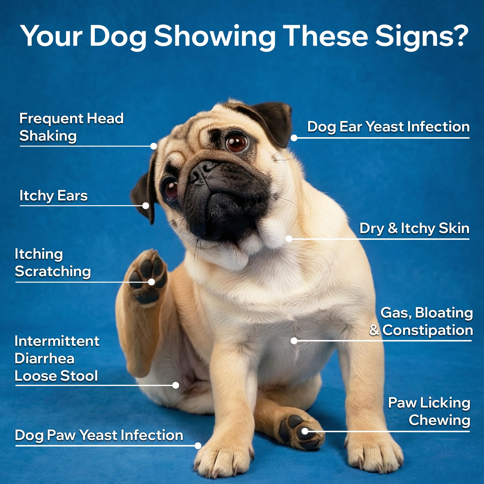 PetOptimum Probiotics para perros: sin colorantes artificiales ni alérgenos comunes.