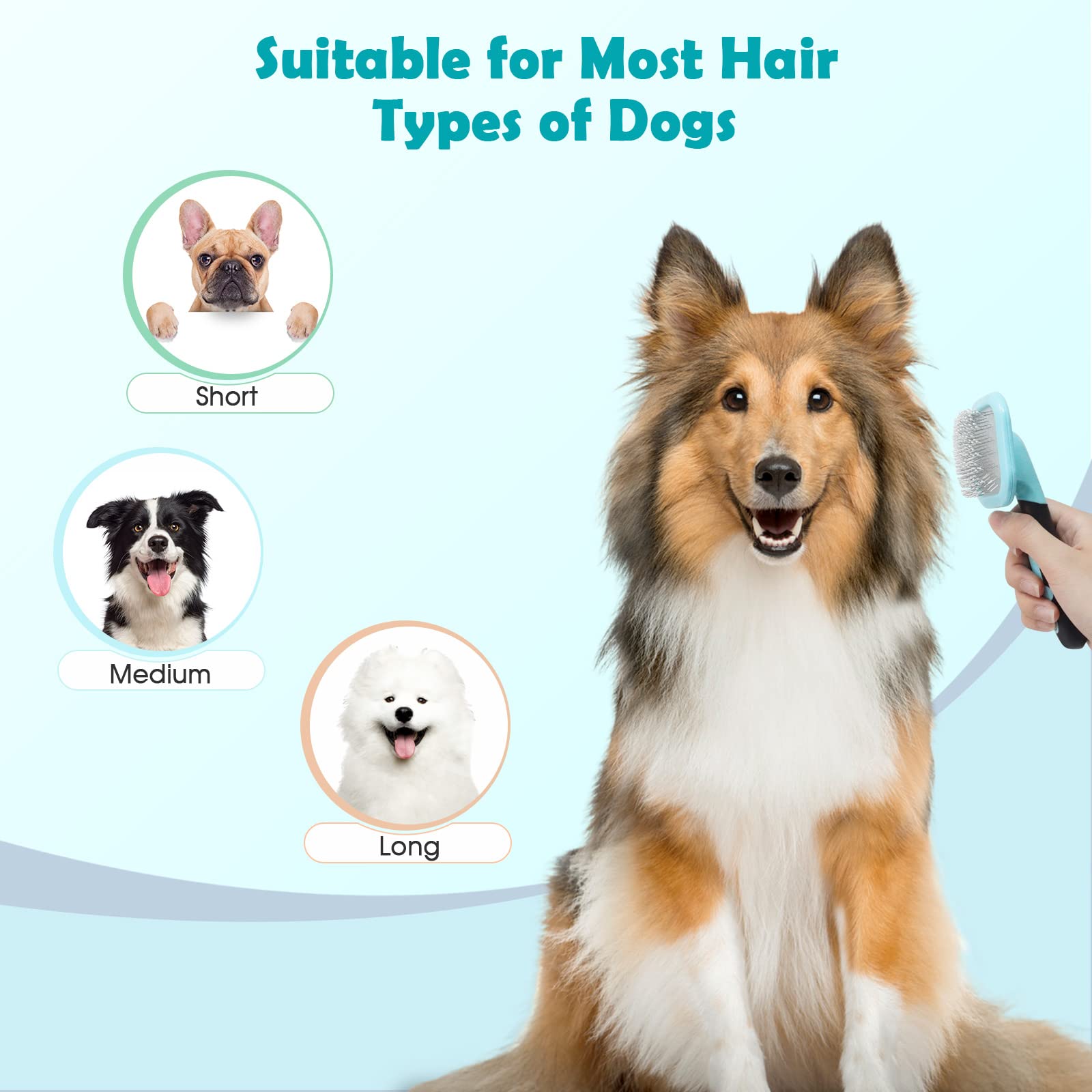 PETPAWJOY ideal para yorkie y poodle y otros pelajes.