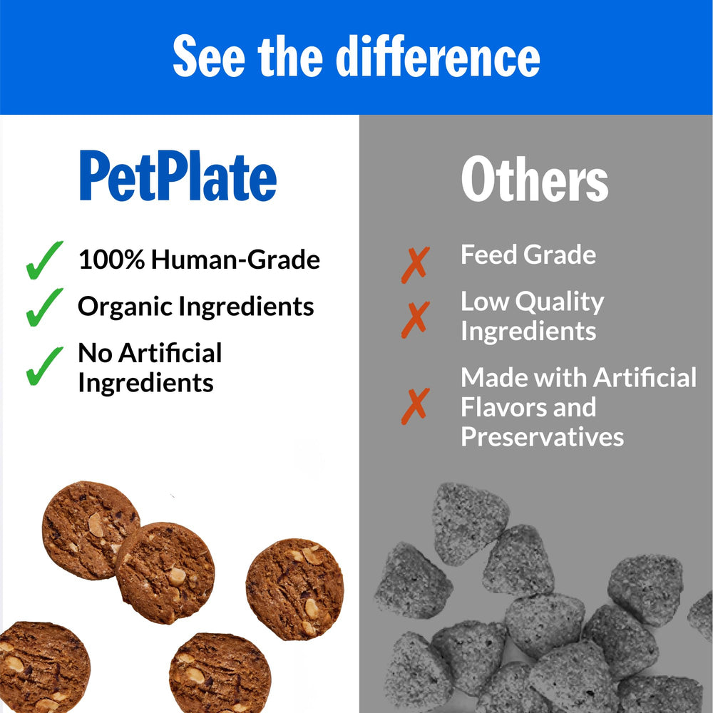 PetPlate Chill Out, diseño veterinario para apoyar la relajación en perros