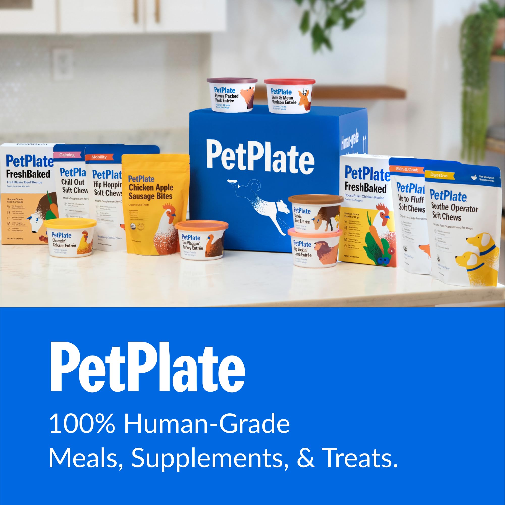PetPlate Chill Out, paquete de 9,8 onzas para uso diario