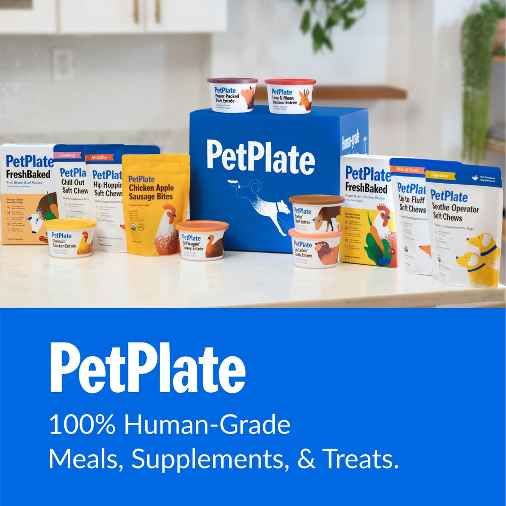 PetPlate Chill Out, paquete de 9,8 onzas para uso diario