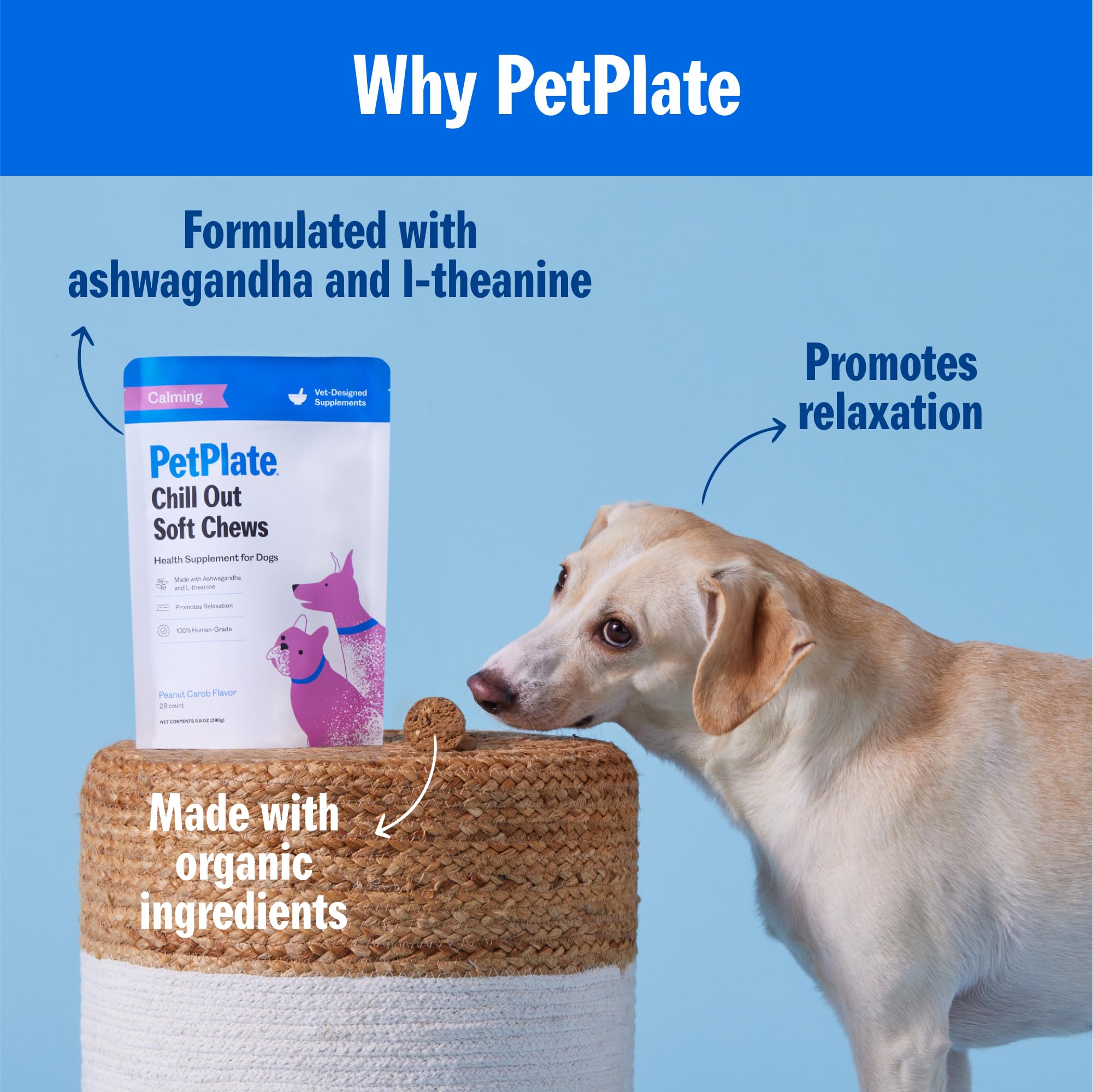 PetPlate Chill Out, textura suave para paladares sensibles y sabor agradable