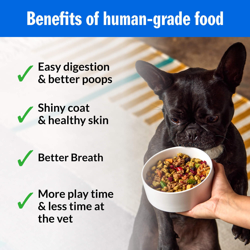 PetPlate Roost Rulin' Chicken: fórmula diseñada por veterinarios para nutrición equilibrada.