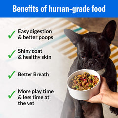 PetPlate Roost Rulin' Chicken: fórmula diseñada por veterinarios para nutrición equilibrada.