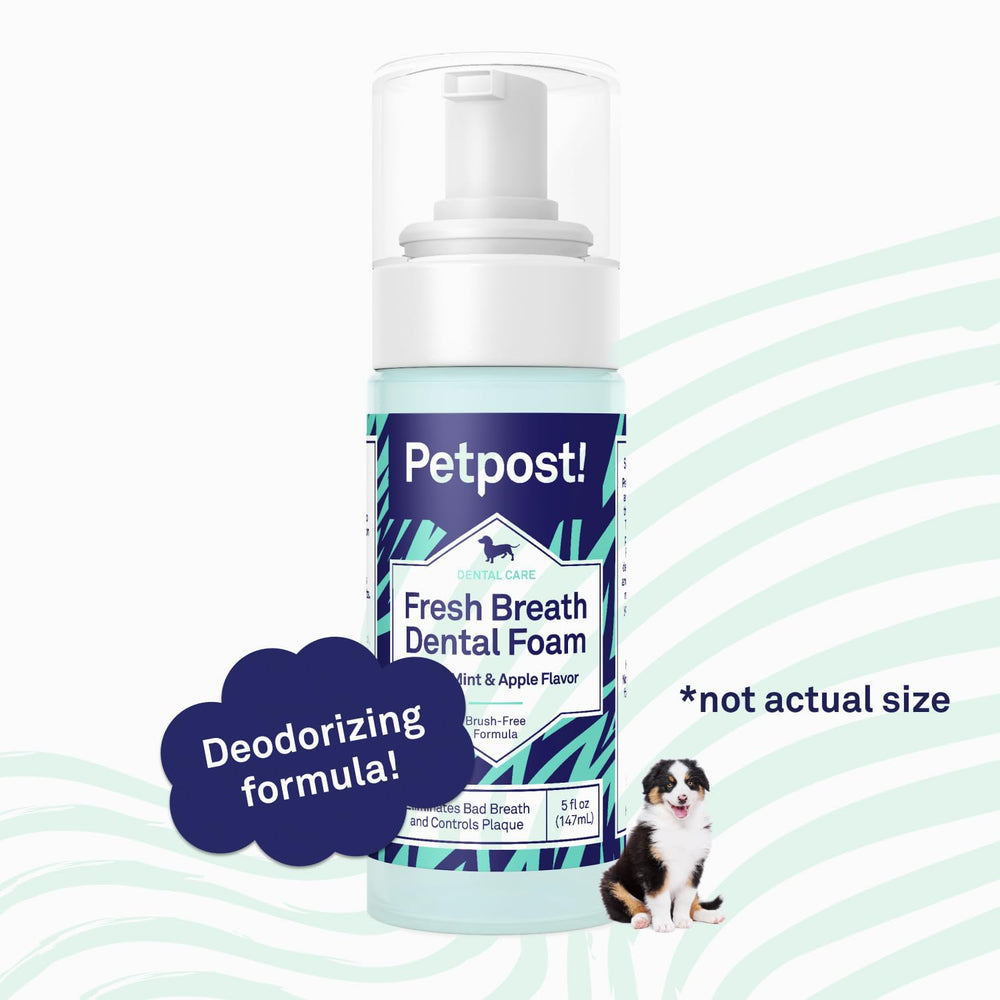 Petpost aplicación fácil de espuma dental, uso cómodo en casa.
