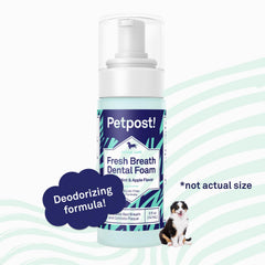 Petpost aplicación fácil de espuma dental, uso cómodo en casa.