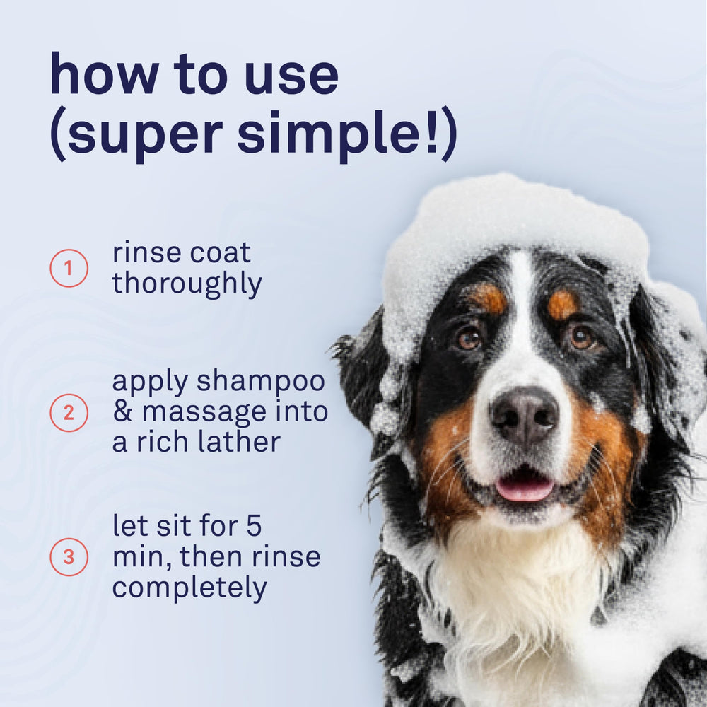 Petpost Argán Shampoo, envase-reciclable: opción sostenible de cuidado