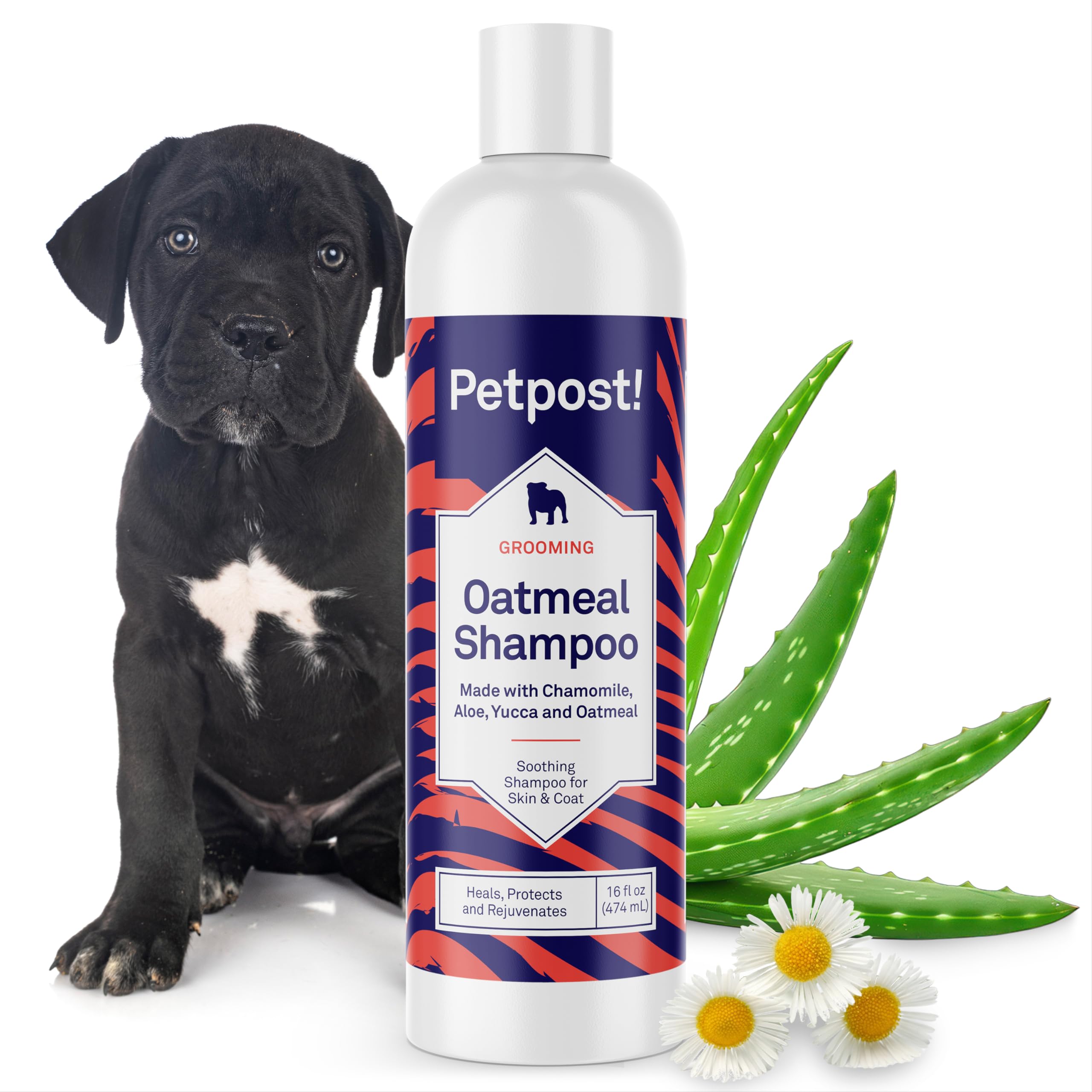 Petpost champú avena y manzanilla para perros, botella, calma piel sensible.