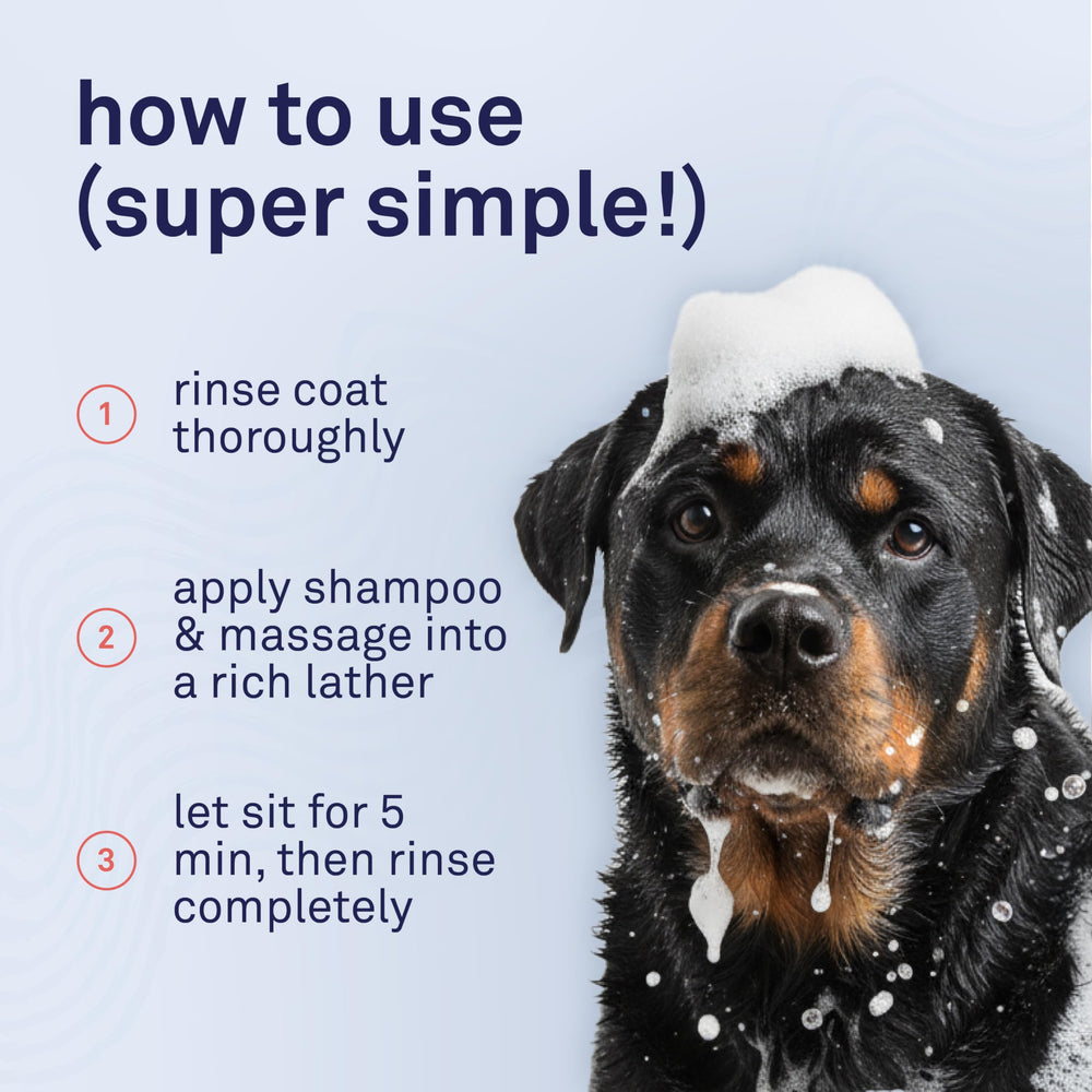 Petpost ingredientes naturales: argán y aloe para pelaje suave.