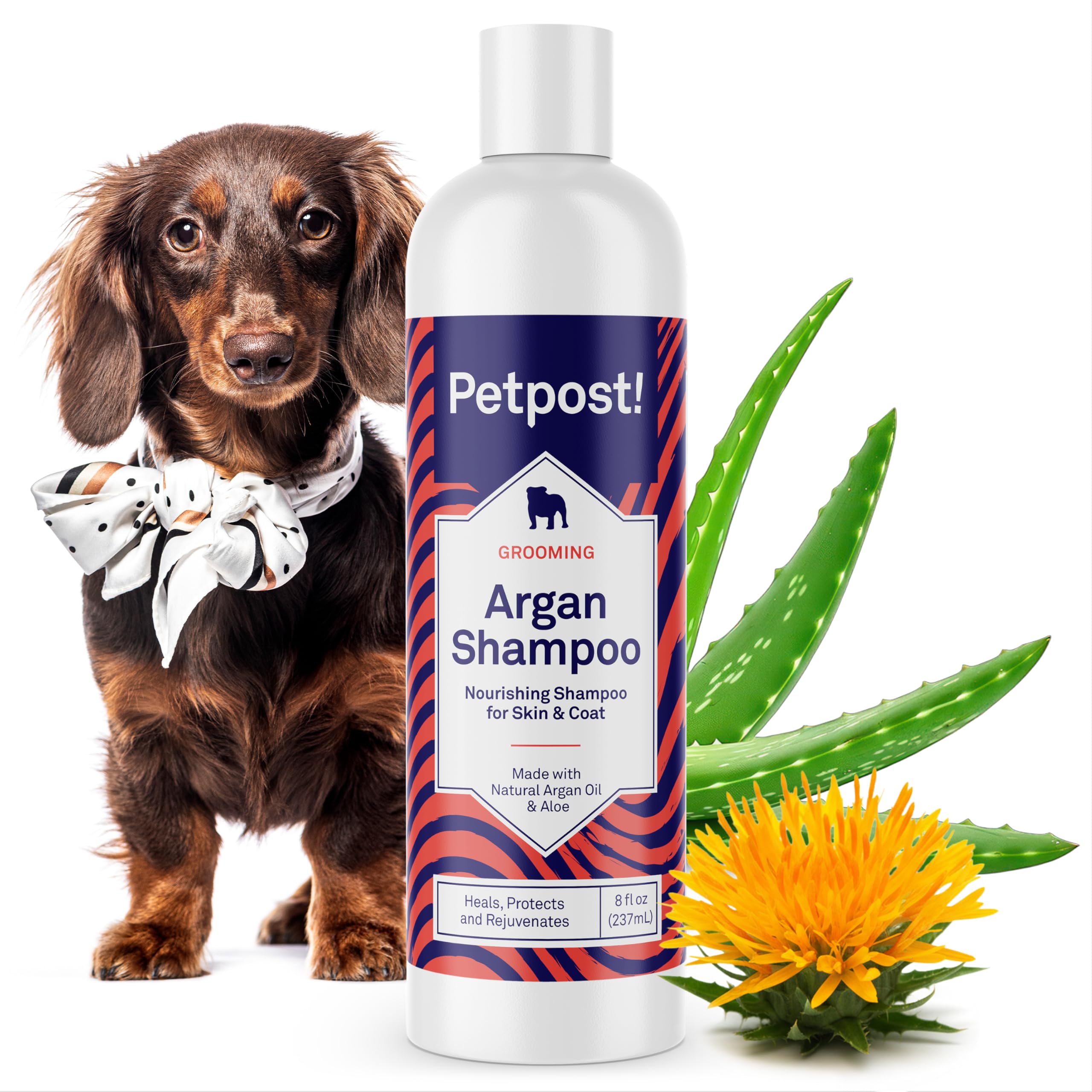 Petpost champú argán para perros, botella visible, piel suave y pelaje brillante.