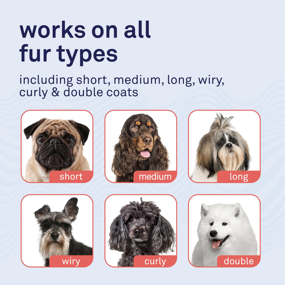 Petpost champú argán con vitamina E, brillo natural del pelaje.