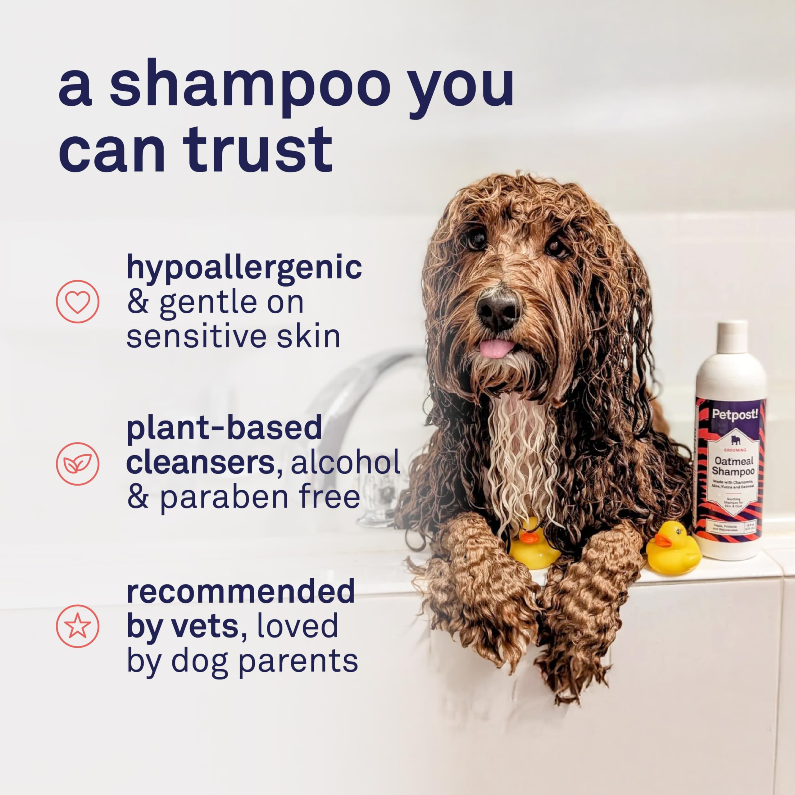 Petpost champú para perros con aloe vera para hidratar piel y pelaje.