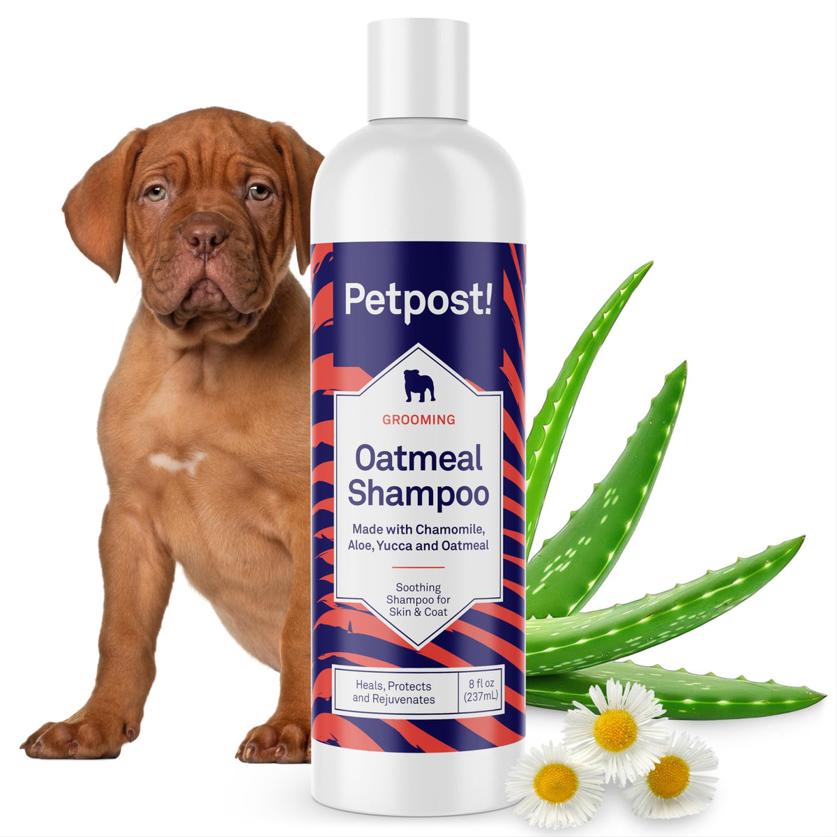 Petpost Champú para perros con avena y manzanilla en botella, cuidado suave.