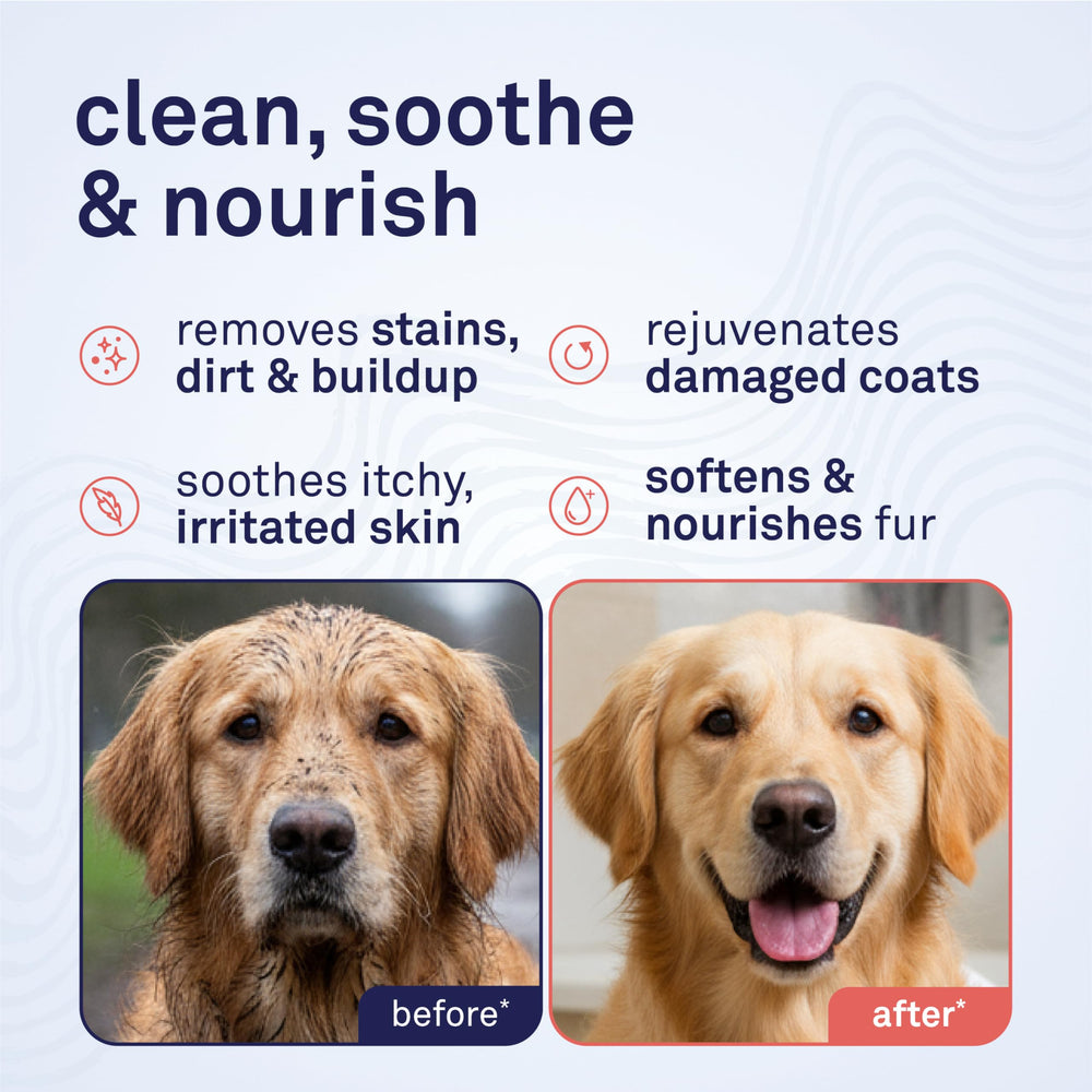 Petpost Champú para perros genera espuma para limpieza suave del pelaje.