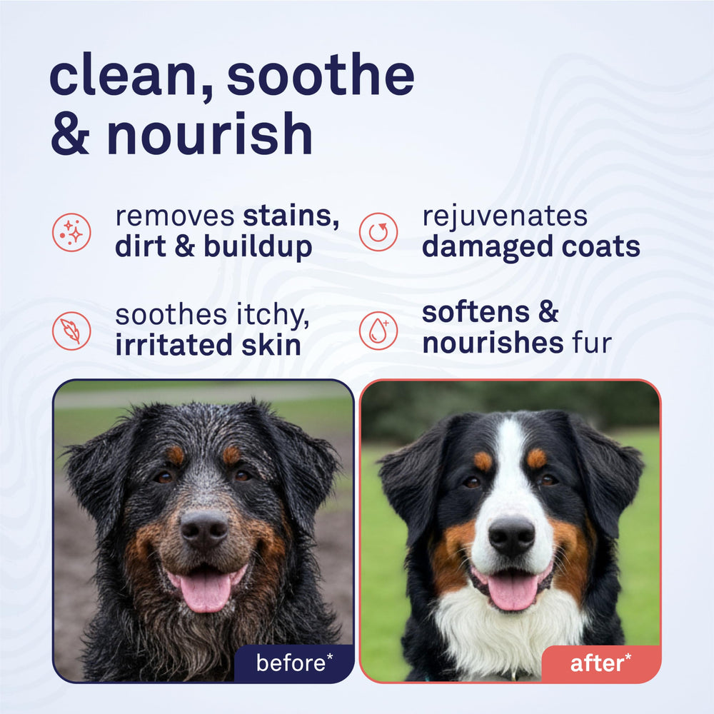 Petpost champú para perros, espuma suave, hidrata y suaviza el pelaje.