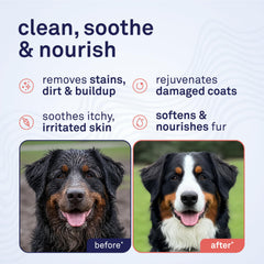 Petpost champú para perros, espuma suave, hidrata y suaviza el pelaje.