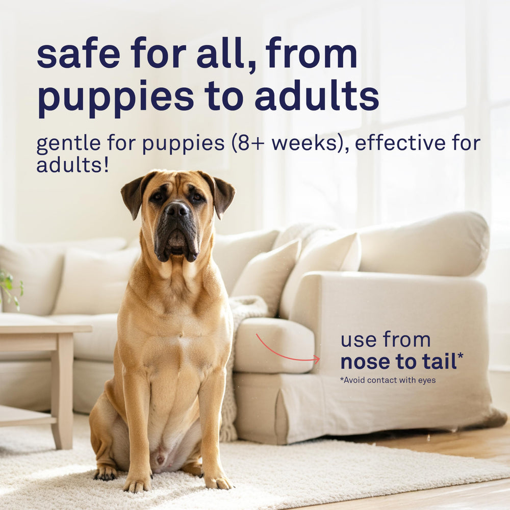 Petpost champú para perros, fórmula suave que protege aceites naturales.