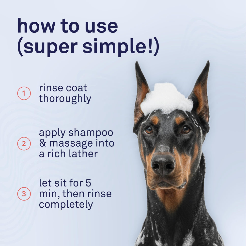 Petpost champú para perros, pelaje limpio y fresco tras el baño.