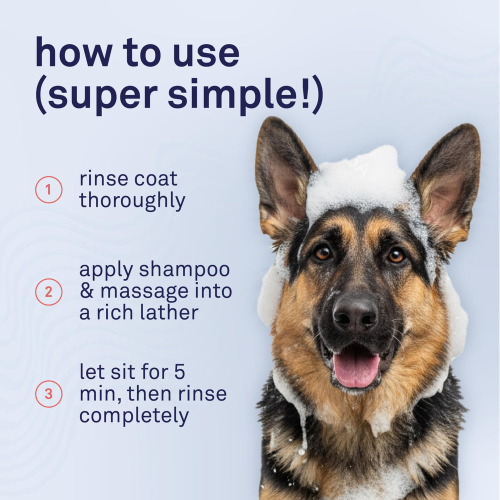 Petpost envase reciclable, opción sostenible para el aseo.