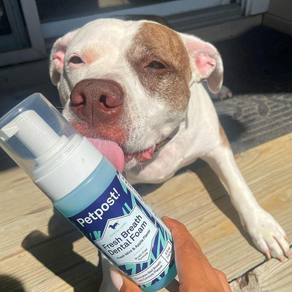 Petpost envase reciclable, opción sostenible para el cuidado de tu perro.
